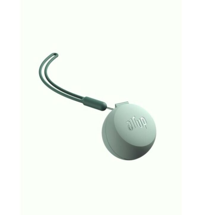 Pod Case Twogo Accessories Mint Macaron